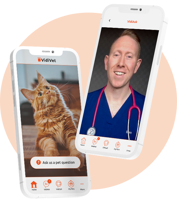 Vidivet - free iphone support for pet owners